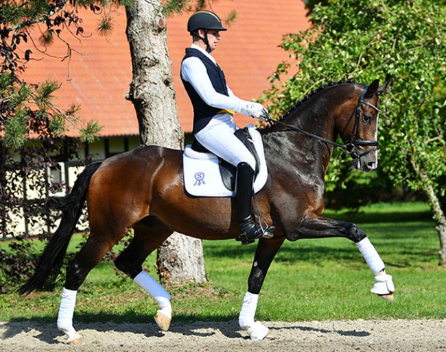 Frederic Wandres on Gremlin (by Grey Flanell x Donnerschwee x Wolkentanz II)