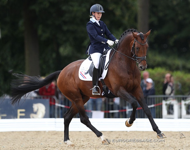 Mirelle van Kemenade-Witlox and Cachet L at the 2013 World Young Horse Championships :: Photo © Astrid Appels