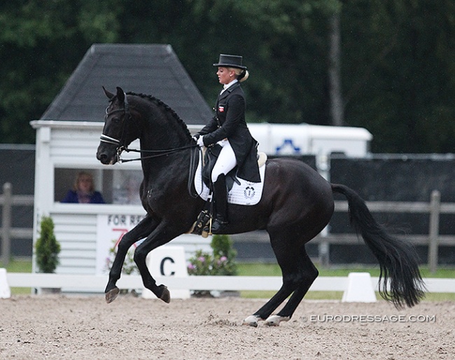 Anna Zibrandtsen and Rentino at their CDI debut at the 2014 CDI Kapellen in Belgium :: Photo © Astrid Appels