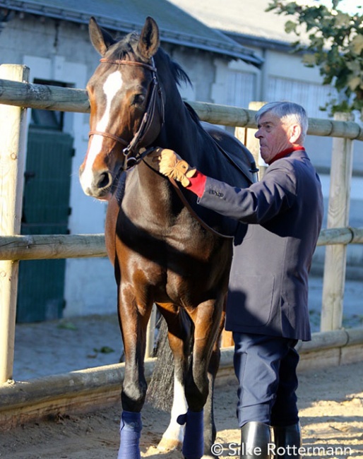 Christian Carde retraining Milady :: Photo © Silke Rottermann
