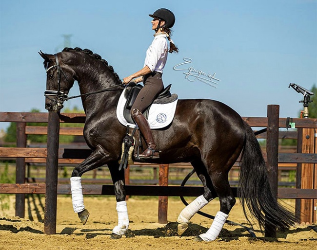 Alizee Froment and Windy de la Roche CMF :: Photo © Equigeniek