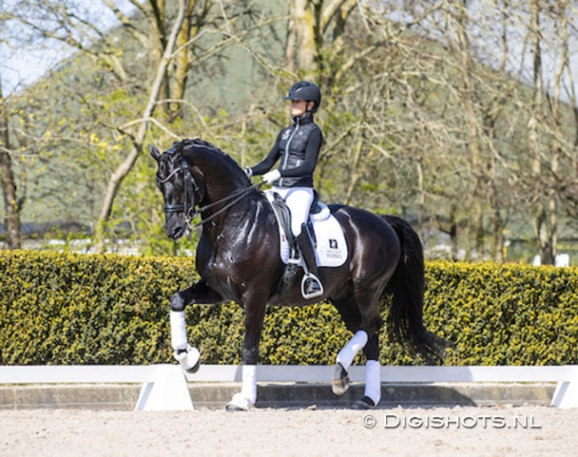 Charlotte Fry and Glamourdale training at home at Van Olst Horses this year :: Photo © Digishots