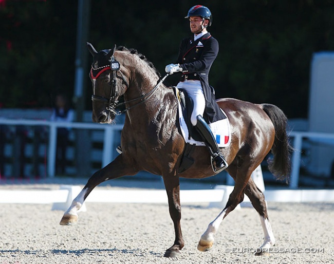 Cedric Gallinard and Scherzo ZC at the 2020 European Under 25 Championships in Budapest :: Photo © Astrid Appels