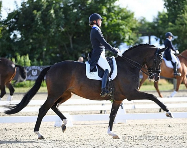 Agnete Kirk Thinggaard and Atterupgaards Orthilia at the 2020 CDN Hjallerup in July :: Photo © Ridehesten