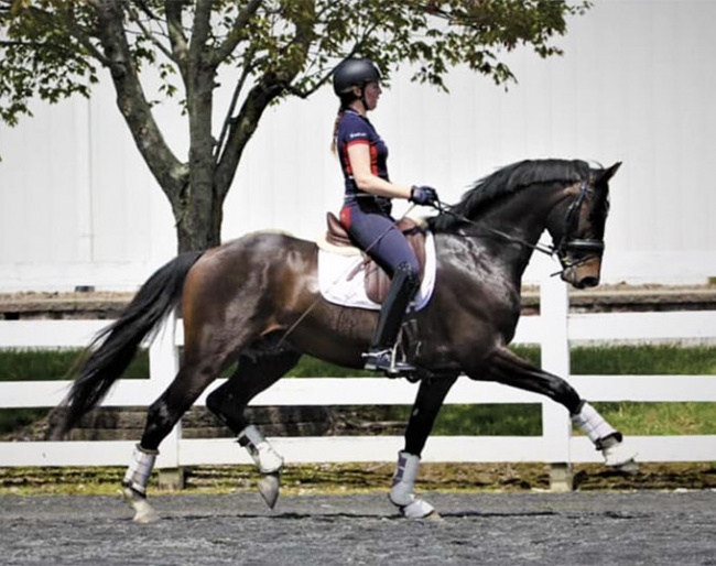 Lindsey Holleger on MW Bodacious (by Borsalino x Rohdiamant x Rouletto) :: Photo © private
