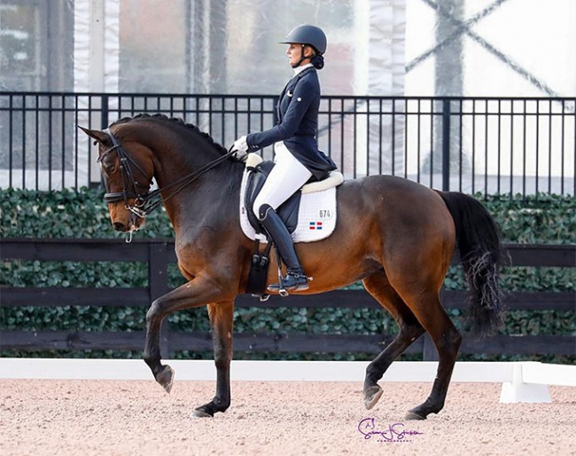 Yvonne Losos de Muniz and Aquamarijn at the 2020 CDI Wellington December :: Photo © Sue Stickle