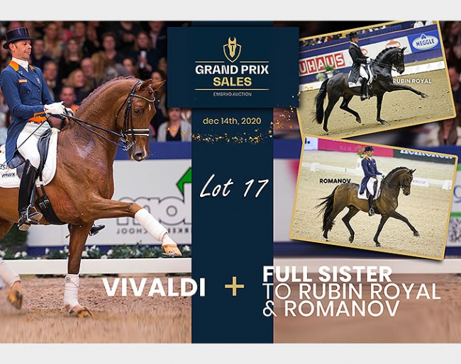 Lot 17 Vivaldi x Rohdiamant x Grundstein II
