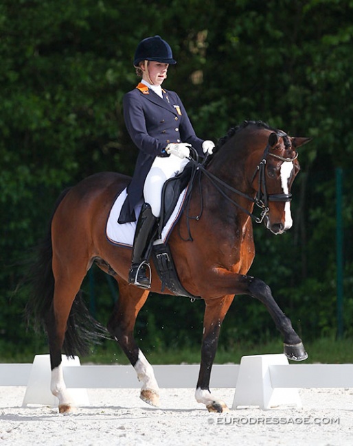 Sanne van Grotel and Lord of Rock at the 2017 CDIO Compiegne :: Photo © Astrid Appels