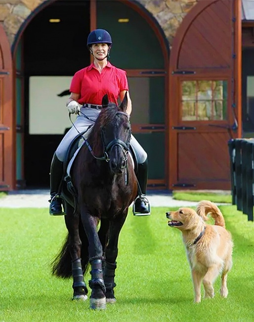 Jane Savoie on her Friesian Grand Prix stallion Menno, joined by dog Indy :: Photo © Rhett Savoie