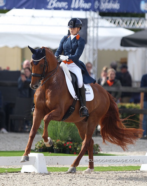 Anne Meulendijks and Hot-Spot PB at the 2019 World Young Horse Championships :: Photo © Astrid Appels