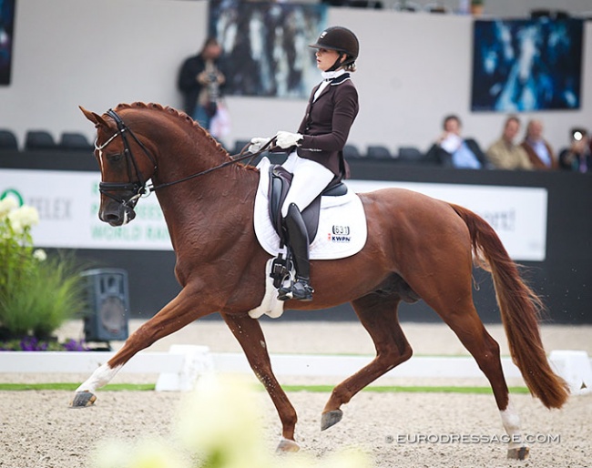 Dinja van Liere and Independent Little Me at the 2019 World Young Horse Championships :: Photo © Astrid Appels