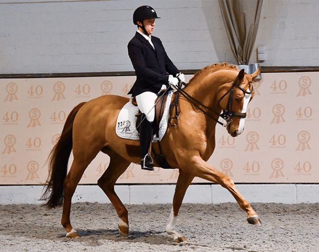 German based Belgian Dries van Dyck on Didou at the 2020 CDN Ankum :: Photo © Ruchel