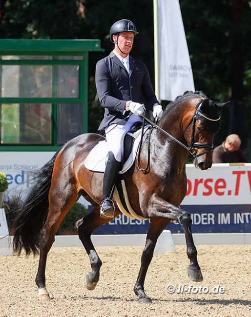 Lars Ligus and Dinay at the 2020 Bundeschampionate in Warendorf :: Photo © LL-foto