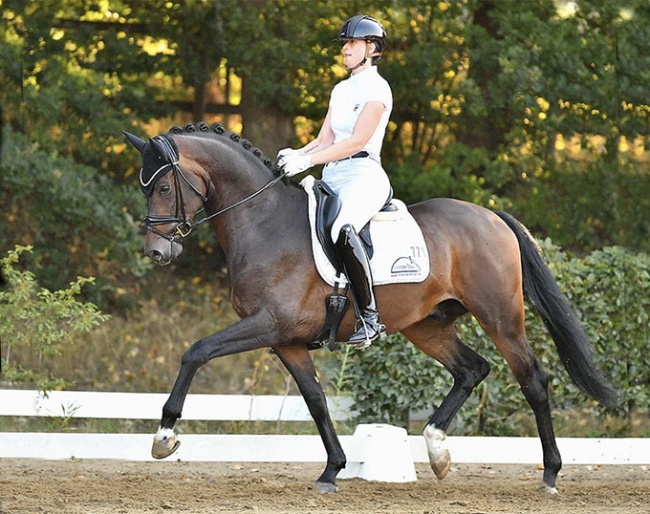 Anna Mitter and Ikon at the 2020 CDN Hude :: Photo © Ruchel
