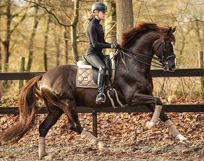 Esmee van Gijtenbeek and Ferguson :: Photo © Equigeniek.nl