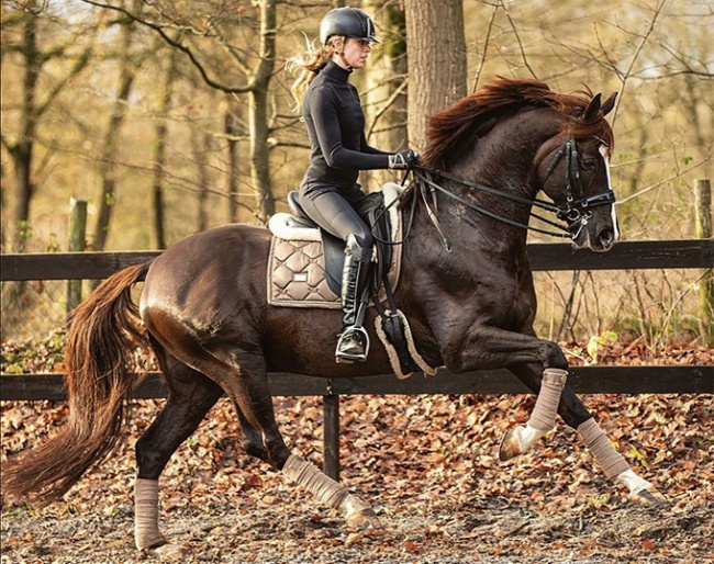 Esmee van Gijtenbeek and Ferguson :: Photo © Equigeniek.nl