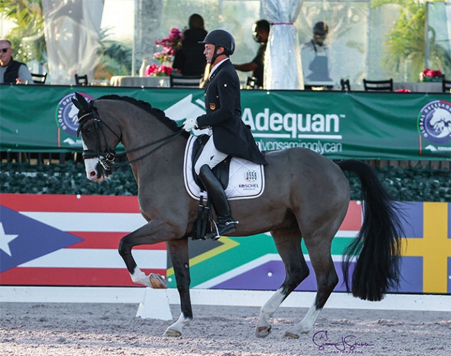 Christoph Koschel and Eaton at the 2021 CDI Wellington :: Photo © Sue Stickle