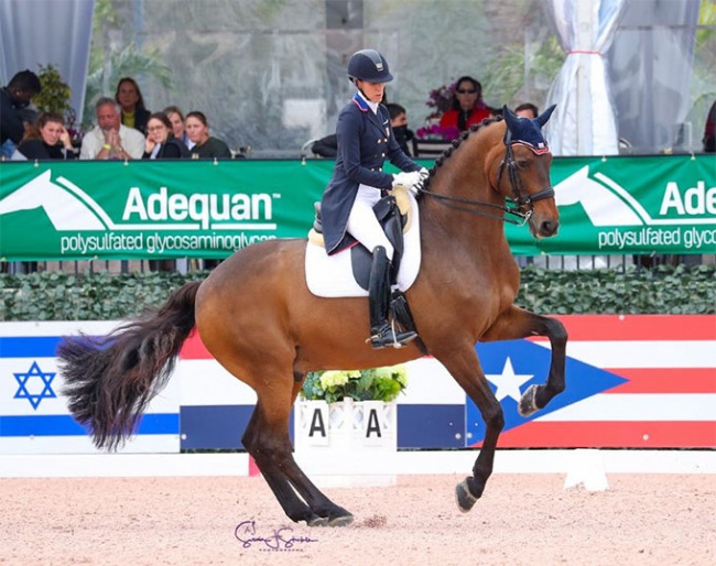 Olivia Lagoy-Weltz and Rassing's Lonoir at the 2021 CDI-W Wellington :: Photo © Sue Stickle