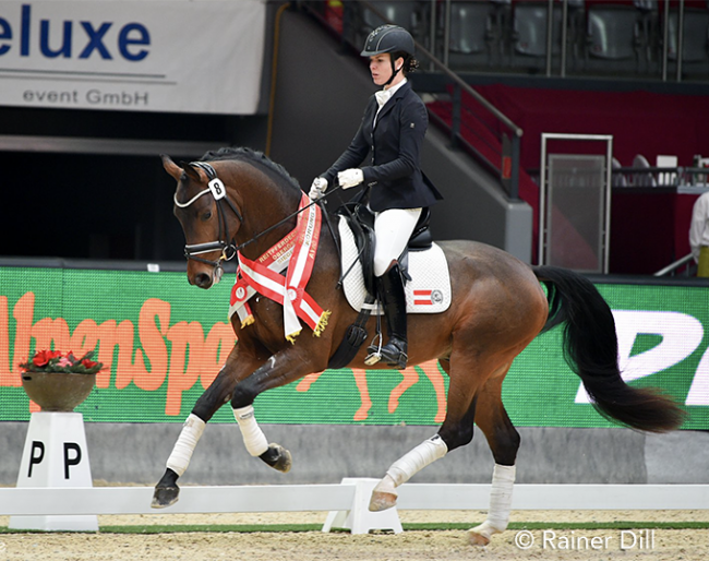 Giulia Schwab and Faberge EP during the AWÖ stallion presentation at the 2018 CDI Salzburg :: Photo © AWÖ/R. Dill