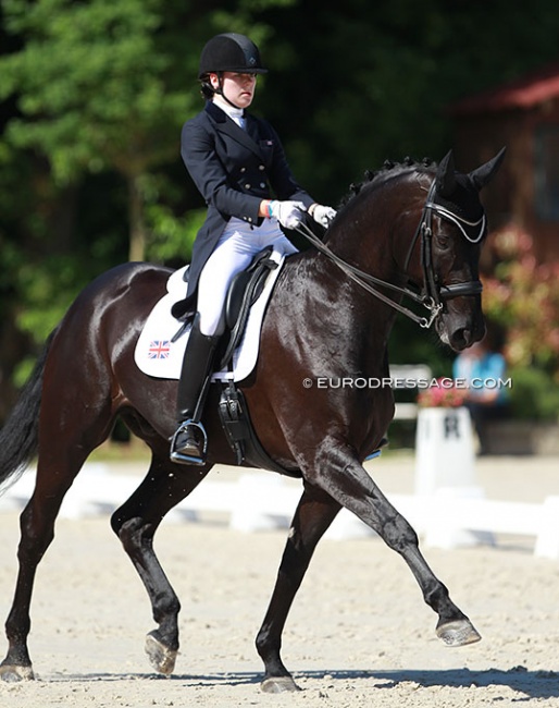 Ruth Hole and Winnetou GEP at the 2015 CDIO Compiegne :: Photo © Astrid Appels