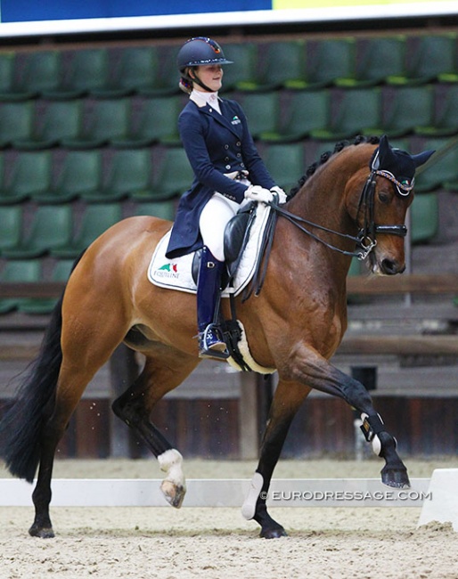 Micky Schelstraete and Grand-Charmeur at the 2020 CDI Lier :: Photo © Astrid Appels