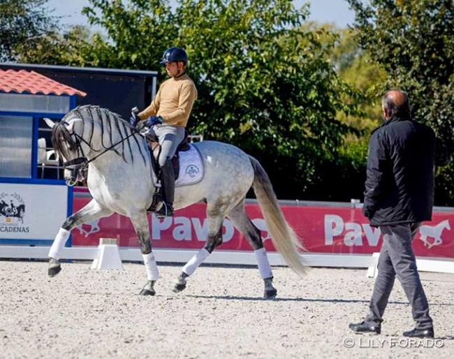 Juan Manuel Galeano con Solano de Centurion at the final Spanish WCYH selection trial in 2020. Trainer Miguel Jordá replaced Bert Rutten, who did not travel to Spain because of corona :: Photo © Lily Forado
