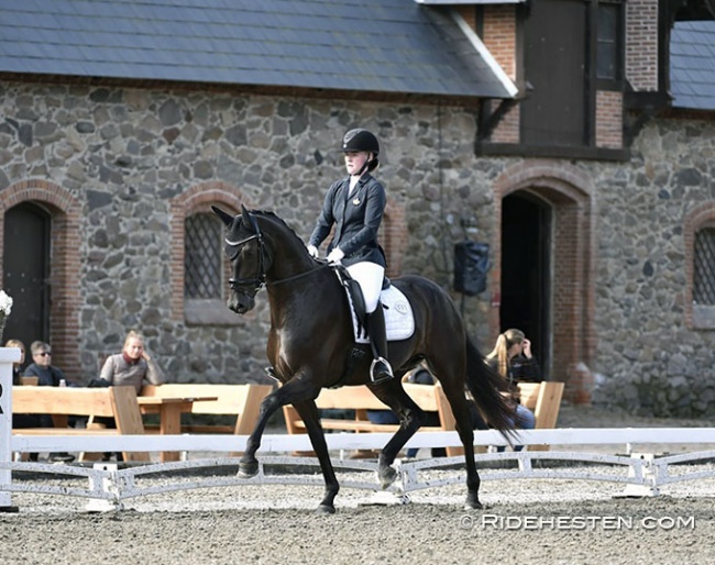 Josefine Hoffmann and Falcon in Vilhelmsborg :: Photo © Ridehesten