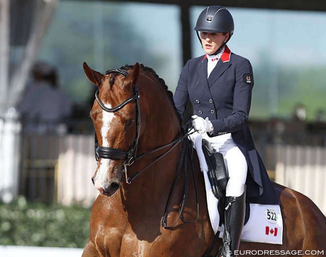 Brittany Fraser-Beaulieu and All In at the 2020 CDI Wellington :: Photo © Astrid Appels