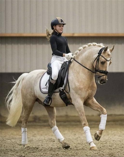 Bridget Lock and Don Davino :: Photo © Equigeniek