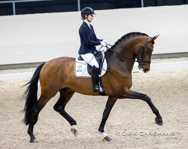 Franka Loos and Las Vegas at the 2021 KWPN Suitability Test :: Photo © Dirk Caremans