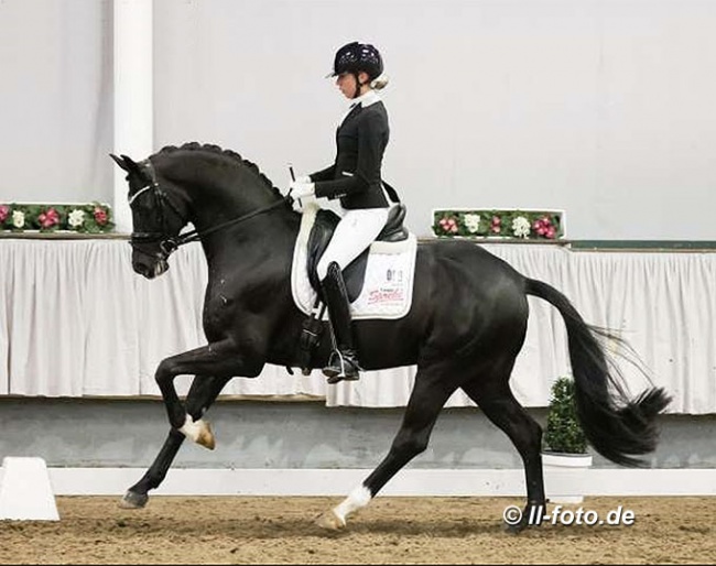 Simone Pearce on Dimaggio Black at the 2021 Munster Stallion Sport Test :: Photo © LL-foto