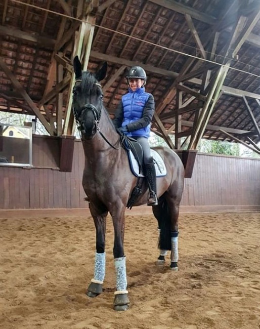 Caroline-Marie Scheufele is home again and returns her focus on riding with new star, Dante's Pearl