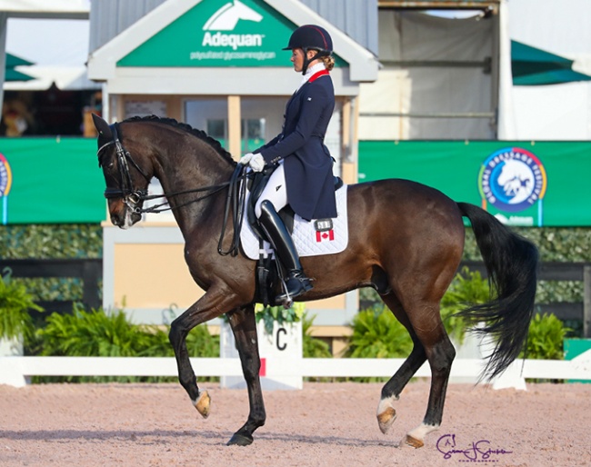 Lindsey Kellock and Sebastien at the 2021 CDI-W Wellington :: Photo © Sue Stickle