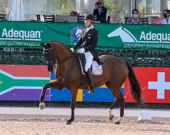 Günter Seidel and Equirelle at the 2021 CDI Wellington GDF 3 :: Photo © Sue Stickle