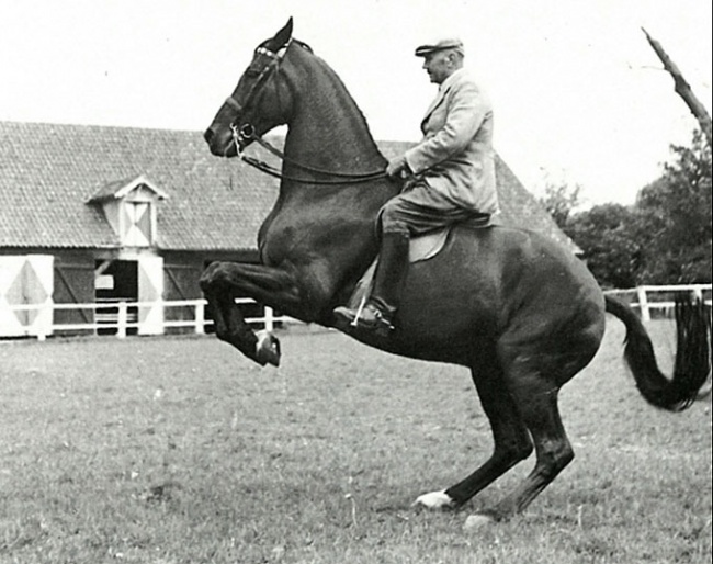 Otto Lörke and Fanal at Vornholz