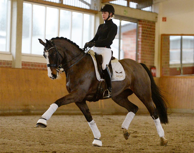 Die Lütte (by Casall x Calido) - Successful at M-level and ready for the small tour