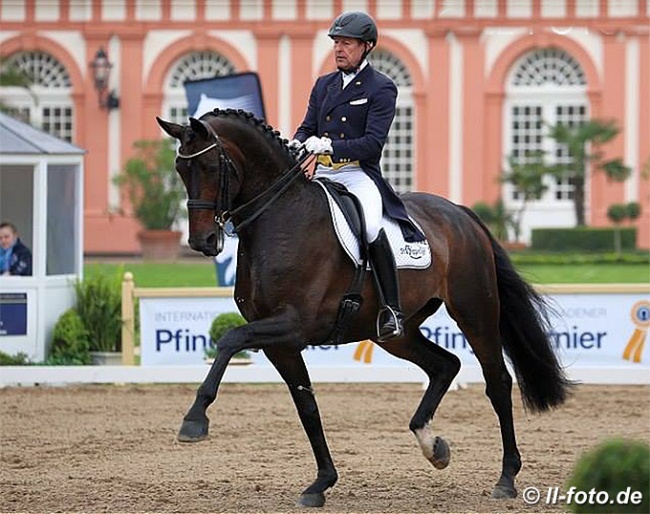 Oliver Luze and Fohlenhof's Rock 'n Rose at the 2013 CDI Wiesbaden :: Photo © LL-foto