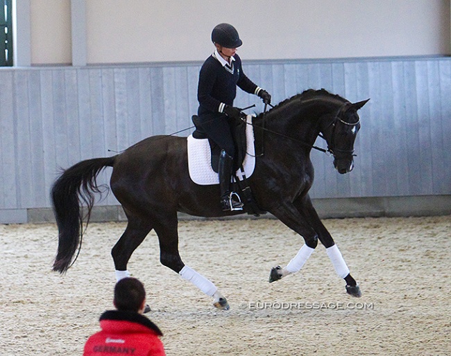 Werth riding a 4-year old Superb at the 2016 Global Dressage Forum in Hagen. Werth's interesting riding style on young horses: long reins, hands wide apart, clicking voice... but the contact was always light and unforceful :: Photo © Astrid Appels