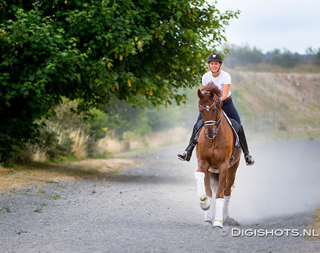 Cathrine Dufour taking Bohemian out for a canter at her yard in Roskilde, Denmark :: Photo © Digishots