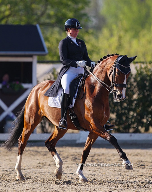 Jessica Leijser and Djambalaya at the 2019 CDI Sint-Truiden :: Photo © Astrid Appels