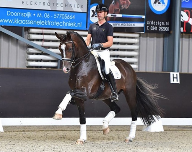 Hans Peter Minderhoud and the 7-year old Invictus at the Dutch WCYH selection trial in Nunspeet :: Photo © Wilma Frentz