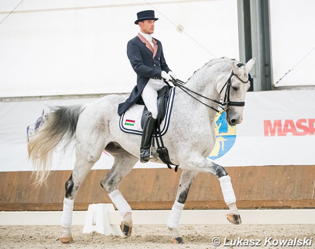 Hungarian Csaba Szokola on Enying at the 2020 CDI-W Zakrzow :: Photo © Lukasz Kowalski