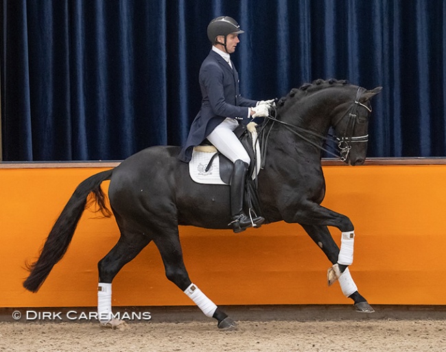 Remy Bastings and Hennessy in the KWPN Online Stallion Show taped in January 2021 :: Photo © Dirk Caremans