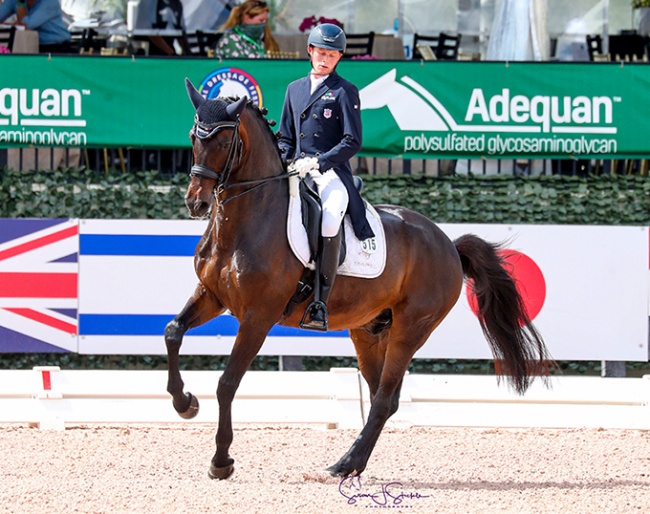 Ben Ebeling and the BWP bred Illuster van de Kampert at the 2021 CDI Wellington :: Photo © Sue Stickle