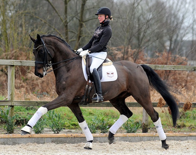First Choice (by Furstenball x De Niro)