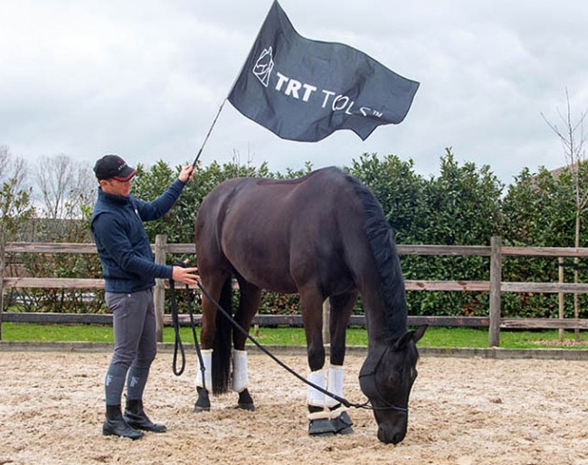 Tristan Tucker demonstrating his TRT method to desensitise horses