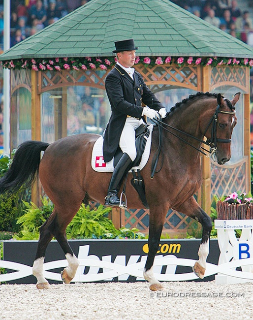 Christian Pläge and Regent at the 2006 World Equestrian Games in Aachen :: Photo © Astrid Appels