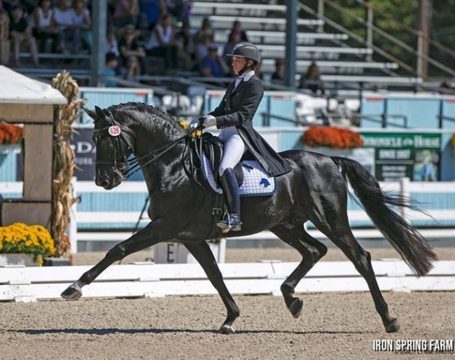 UNO Don Diego competing with Catherine Malone at the 2014 CDI Devon