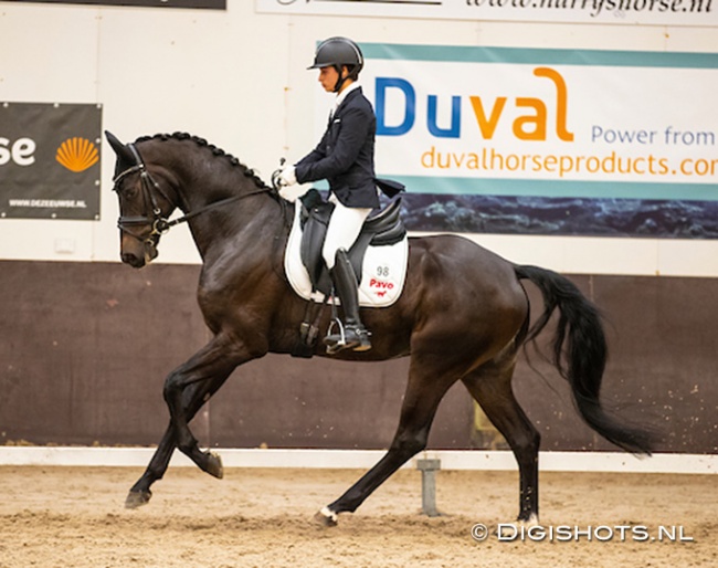 Hungarian Under 25 rider Benedek Pachl on Louis 14 Sollenburg in 2020 :: Photo © Digishots