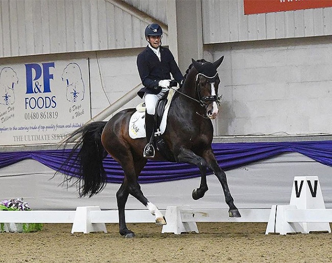 Tom Goode and Jaristo at the British team selection trial for the 2020 World Young Horse Championships 